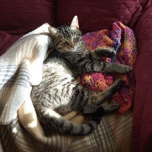 Meet your Posher, Kendra